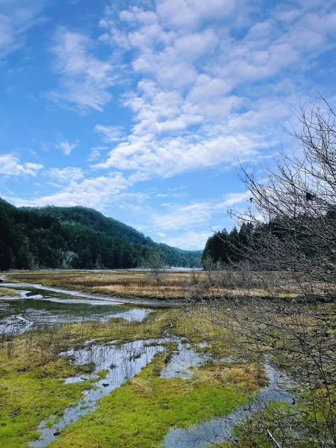 🇨🇦 Victoria Hiking | Golden Stream Trail’s Magical Escape