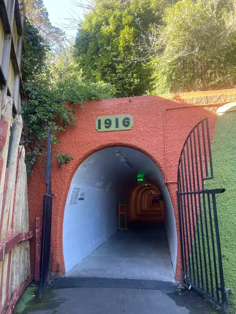 🌞 Whanganui One-Day Adventure | NZ’s Hidden Historic Gem! 🚡🏛️