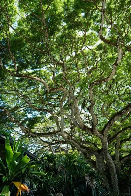 Hawai‘i Family Trip