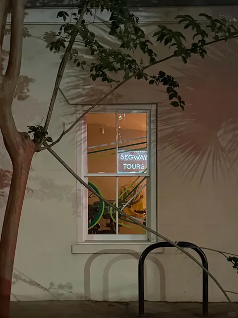 🌿 Savannah Travel Notes & Food 