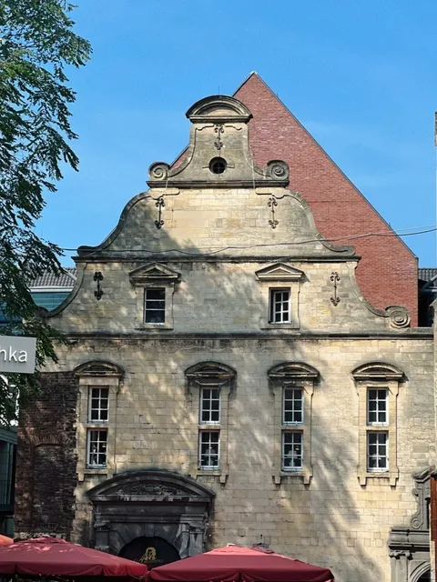 "I Captured My Lifetime Photo in Maastricht!" 🇳🇱✨