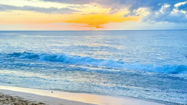 Honolulu, Hawaii 🌺｜Ultimate Car-Free Travel Guide 5.0