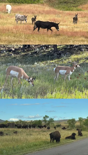 South Dakota Long-Weekend Cheat-Code