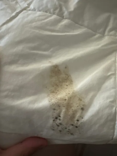 You Get What You Pay For 💰😬