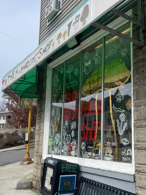 Boston's Must-Visit Spots 4/100 🍄