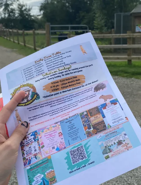 Secret Valley Wildlife Park Where You Can Pet Capybaras,Cuddle Bunnies