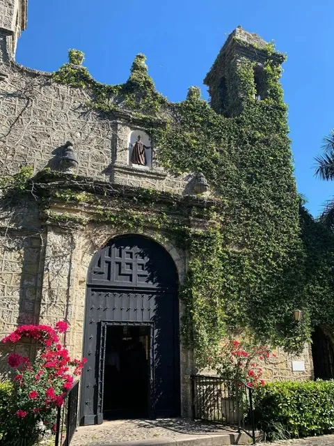 Miami’s Newest Daydream Paradise 🌳😍