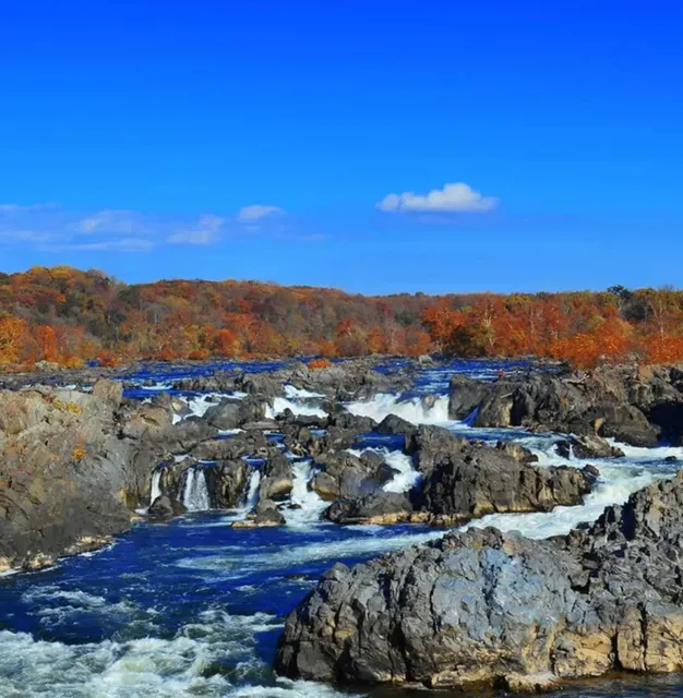 5 Most Scenic Fall Foliage Routes — Northern Virginia (NOVA) 🍂🥾