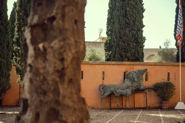 🇪🇸 Jerez | The Golden Hues of Andalusia's Hidden Gem