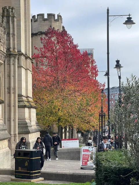 🇬🇧 10-Hour Bristol Speedrun: A Whirlwind (But Classy) Adventure