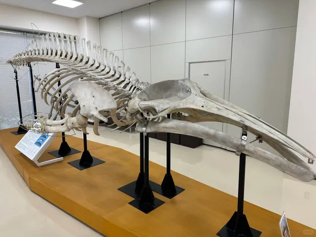 🌏 Top 6 Science Museums in Tokyo