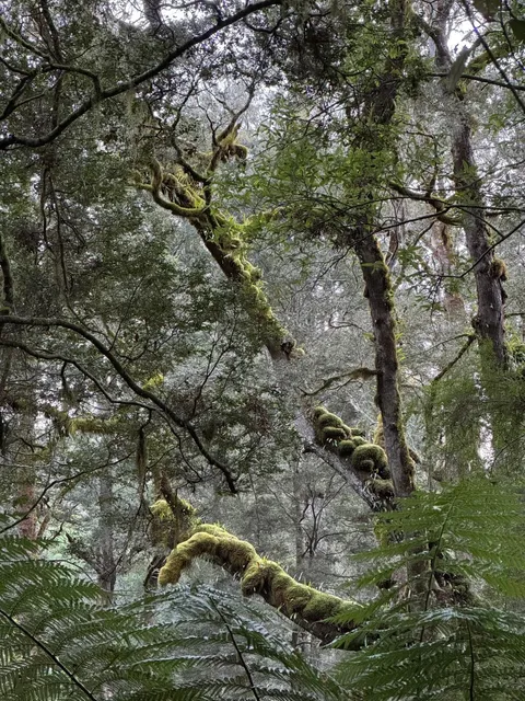 Melbourne's Great Ocean Road · Coastal Fantasy