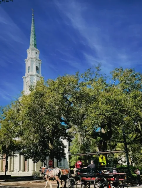  Savannah's Heavenly Landmark: Cathedral of St. John the Baptist! ⛪