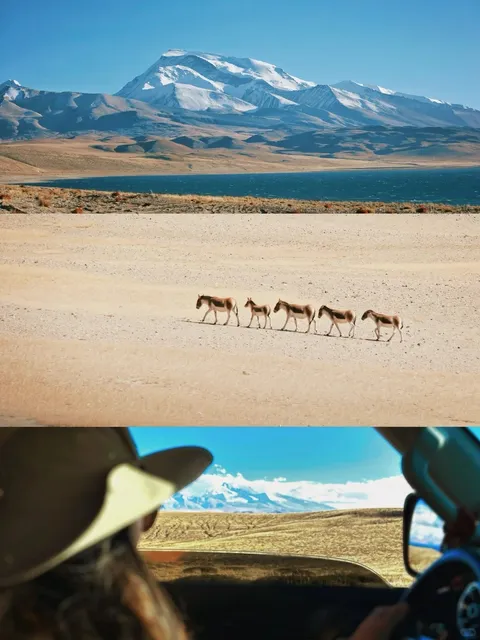 📸 LIFE-CHANGING PHOTOS: My Tibet Road Trip to the Roof of the World!