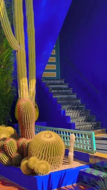 🇲🇦 Marrakech Taught Me Color 🌈✨