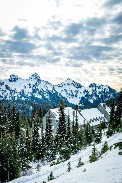 Seattle｜Mount Rainier After the Snow: A Promise to Return 🏔️