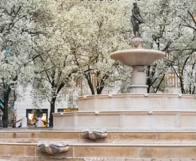 Travel in the USA 🌟