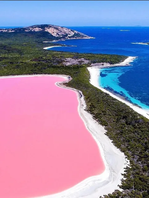 A High-Stakes Gamble That Paid Off, Unbelievably Beautiful...