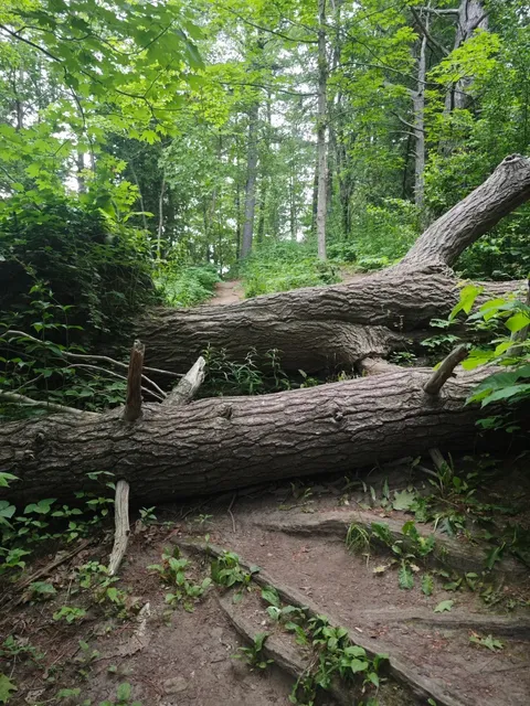 🇨🇦 ​​Rouge National Urban Park  