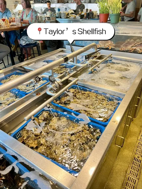 Must-Try Oyster & Seafood Spots in Downtown Seattle