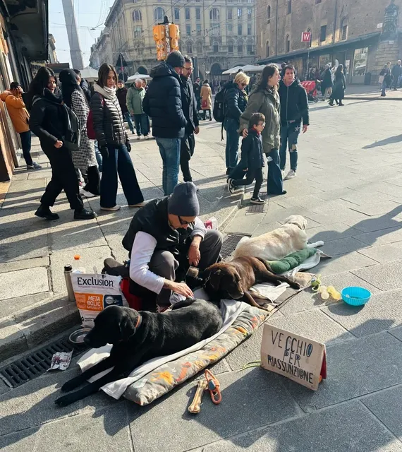 🌟 Bologna in 20,000 Steps: A Time-Traveling Adventure 🇮🇹✨