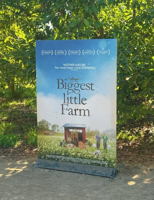 📍 Visiting "The Biggest Little Farm" at Apricot Lane Farm 🌱🚜  