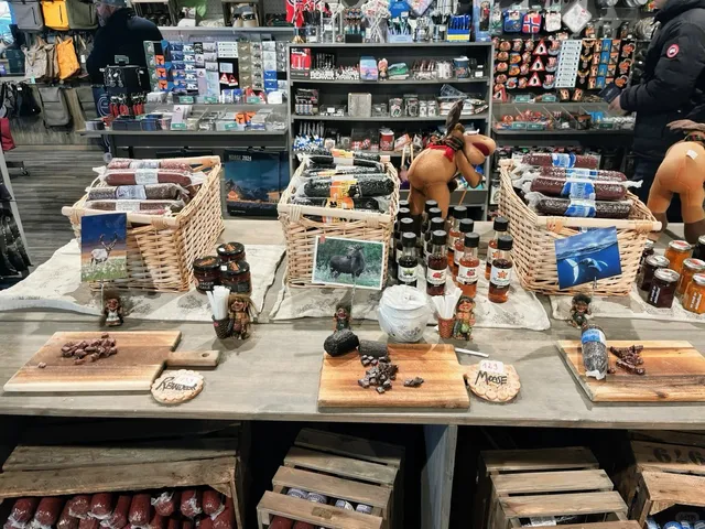 Norwegian Aurora Tea 🌟💚 For Tea Lovers!