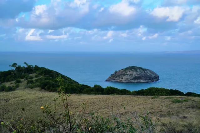 Bluff Point Circuit – A Scenic Coastal Hike Near Yeppoon 🌊🥾
