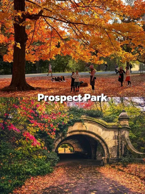 New York Car-Free Party, Head to These 3 Spots for Fall Foliage 🍁