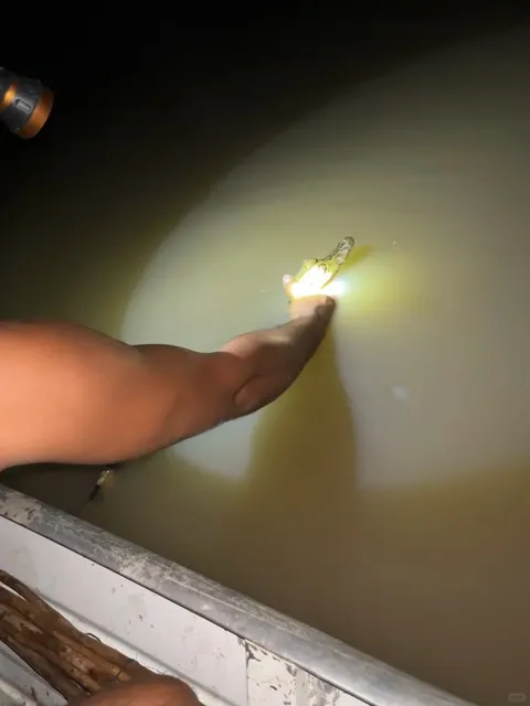 🇧🇷 Manaus Amazon Adventure: Way More Fun Than Expected!