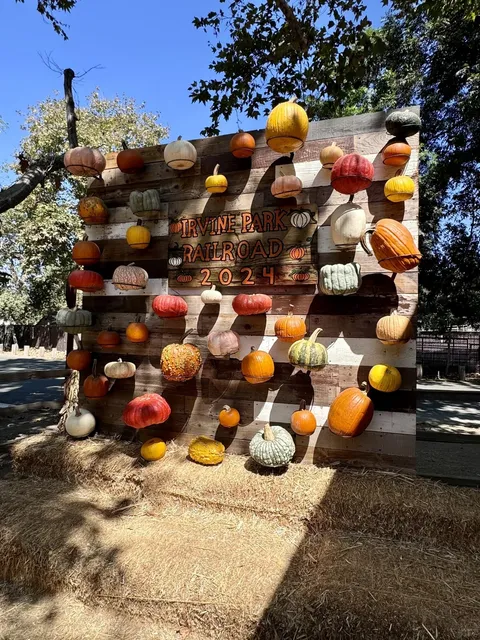 🎃 Halloween is Here! Found the Pumpkin Patch in Irvine 🎃
