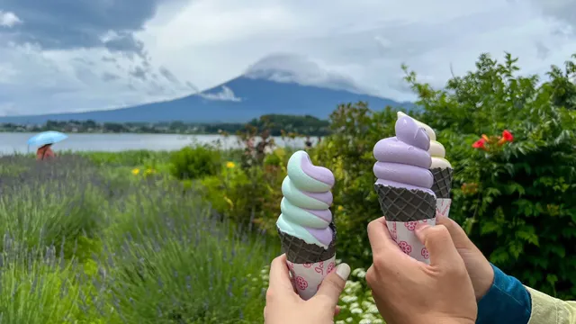 🌸🌺🌿🍃 Lake Tanuki 🌸🌺🌿🍃