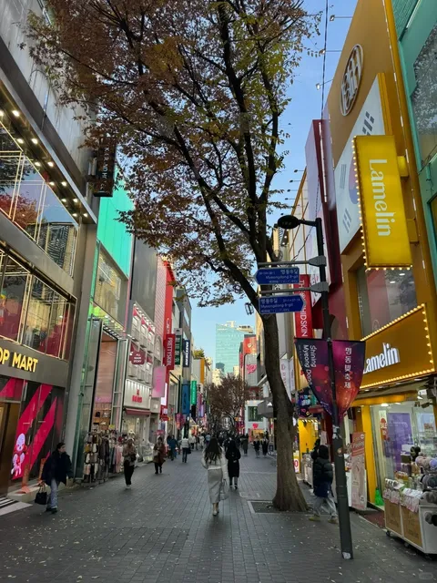 Solo Travel in South Korea 🇰🇷