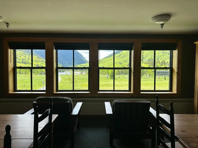 You HAVE to come here — this is NOT a drill! 🗣️🙌