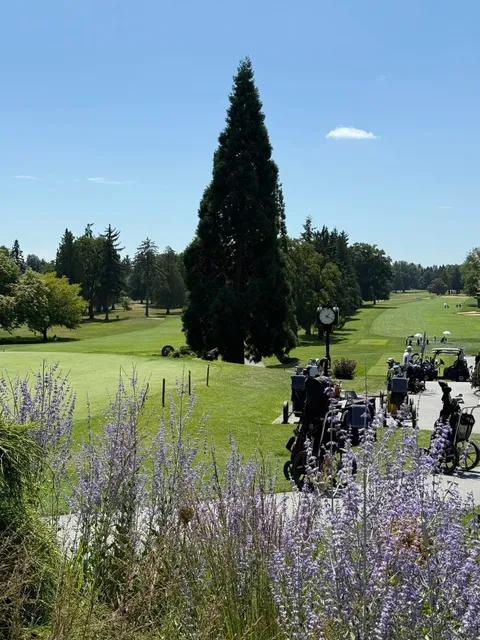 🇨🇦 ​​Vancouver Italian Dining | Osteria Elio Volpe​​