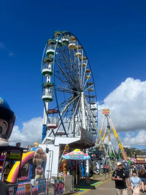 Townsville Show: Where Australia’s Country Soul Comes Alive 🎪🌾