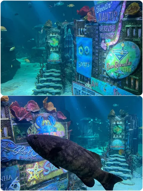 An Underwater Wonderland in NYC?! Pure Magic! ❤️😍