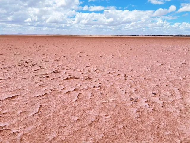 🇦🇺 Finally Figured Out How to Travel Adelaide Like a Pro! 🙋🏻