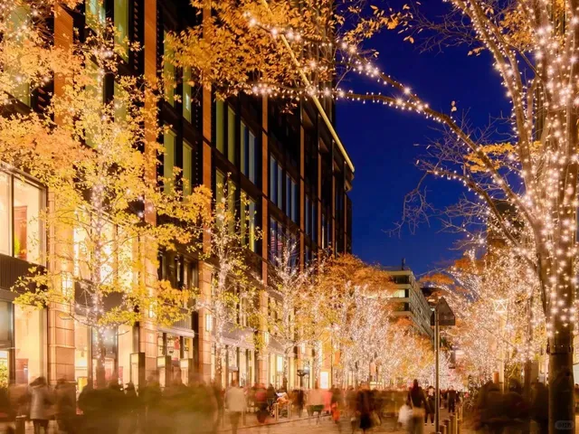 Japan's Christmas and New Year Light Events: Tokyo Edition 