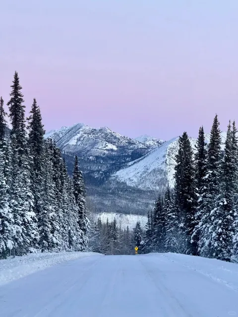 Listen to Me — 2024 is THE Year to See the Aurora in Alaska! 