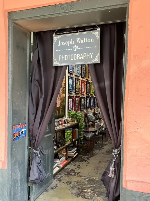 🎨 A Breathtaking & Vibrant Art Experience! 🎨