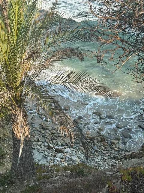 🌊 Polg Daily｜Laguna Beach – Listen to the Whisper of the Waves 🌊