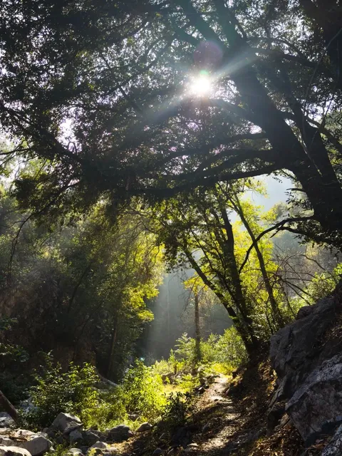 🇺🇸 Beginning My Southern California Hiking Journey | Mt. Wilson