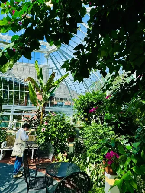 Finally Discovered the "Century-Old Midsummer Night" Magic 🔥​​