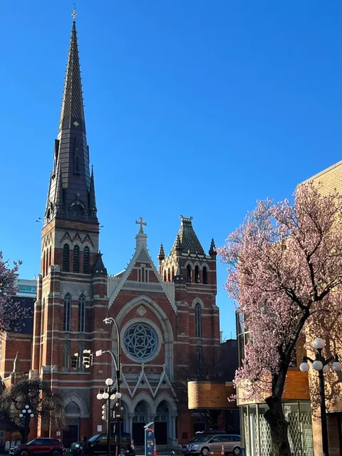 🇨🇦 Victoria Scenery Diary 📝2 | Cherry Blossoms on View Street