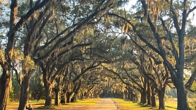 Wormsloe Historic Site - Savannah's Avenue of Oaks Dream! 🌳✨