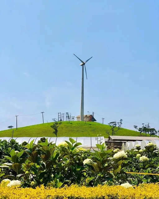 Sri lanka farm--New Zealand Farm