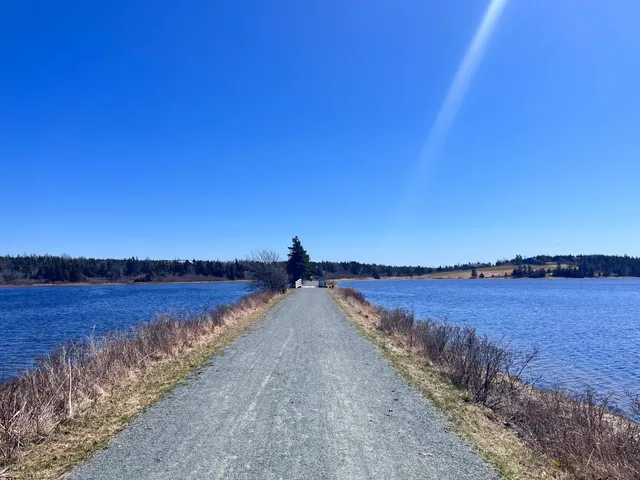 🌿 Salt Marsh Trail - Halifax’s Perfect Beginner Hike!
