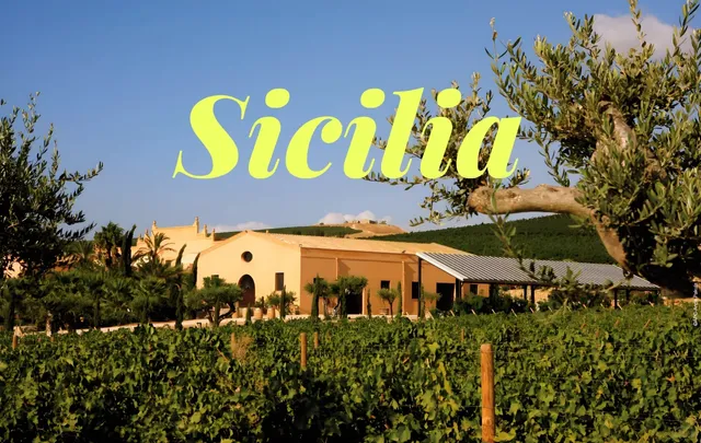 Italian Winery | Sicily 🍇🏰
