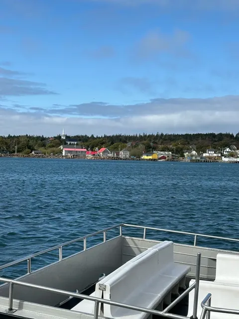 🇨🇦 Quick Trip to Halifax (Whale Watching Guide + Cost Breakdown 💰)